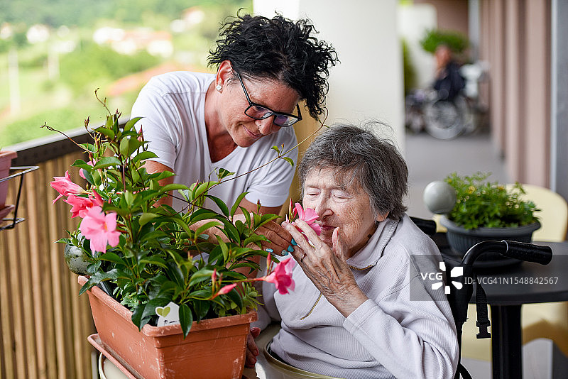 有园艺能力的老年妇女闻着盛开的美丽花朵图片素材