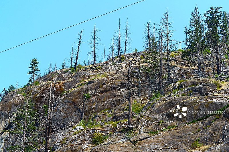 华盛顿州北喀斯喀特国家公园图片素材