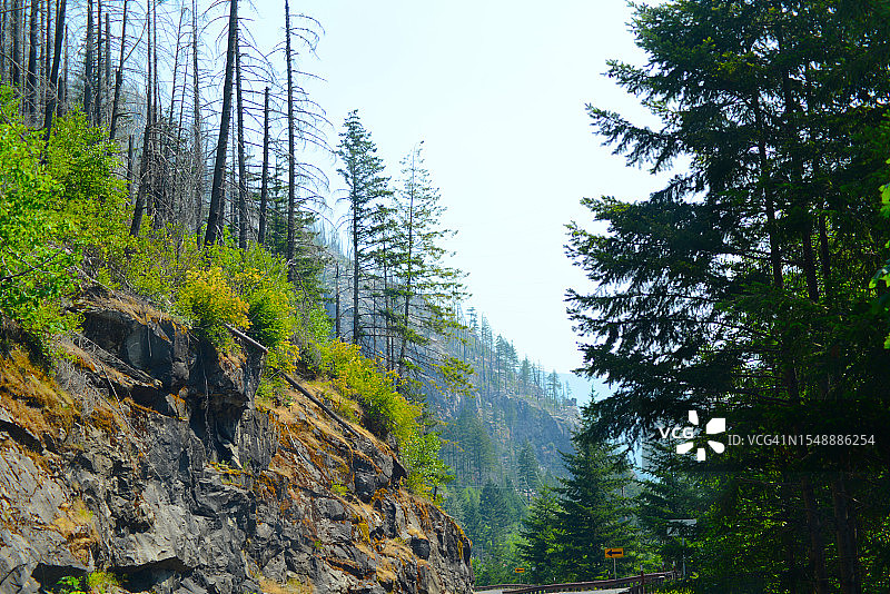 华盛顿州北喀斯喀特国家公园图片素材