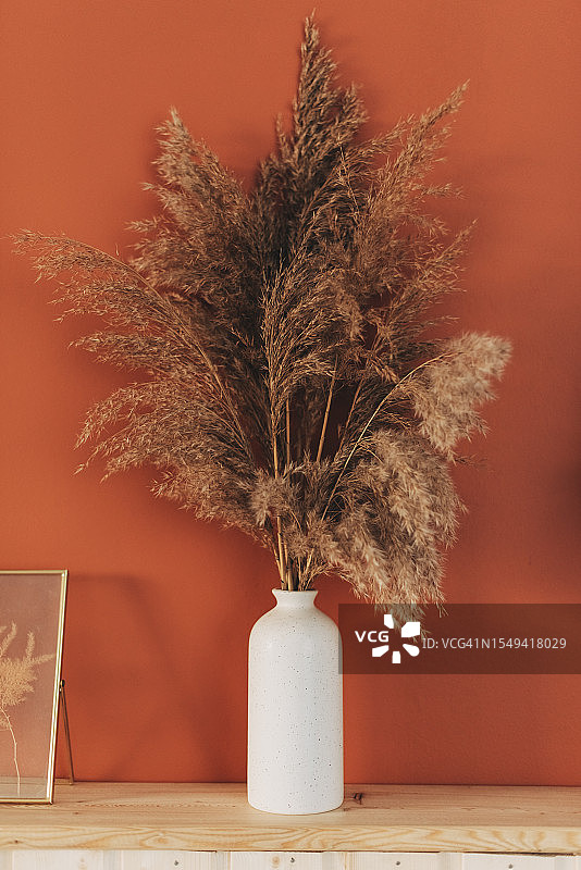 花瓶潘帕斯草波西米亚极简风图片素材