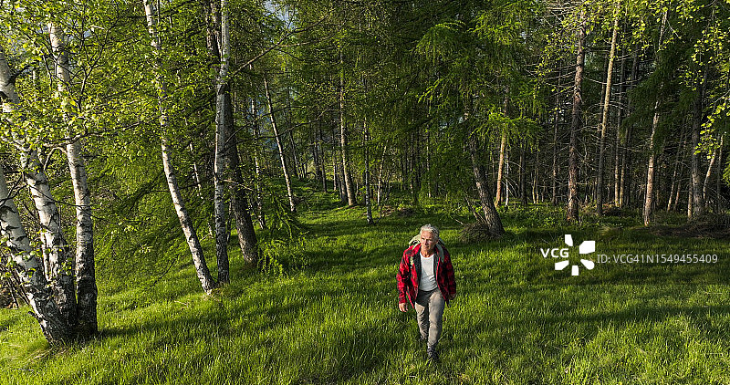 年长的背包客徒步穿越落叶林航拍图图片素材