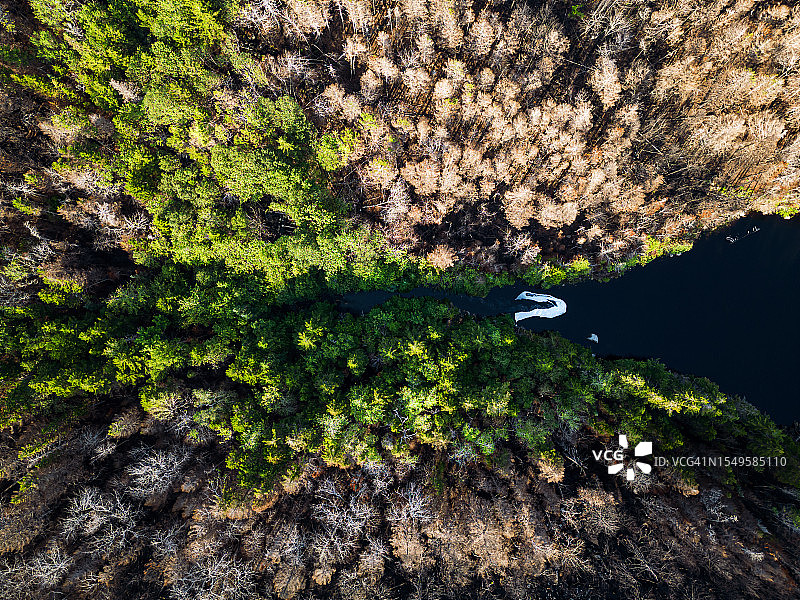 野火破坏鸟瞰图图片素材
