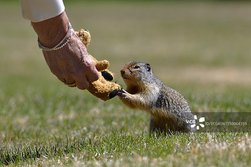 “嗯...你有可能成为我的另一半！”图片素材