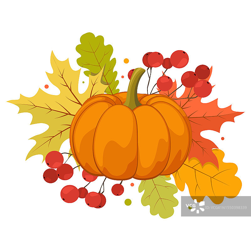 手绘秋季剪贴画：南瓜、荚蒾和彩色树叶图片素材