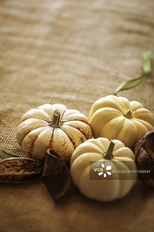 秋季高调白色南瓜编织纹理背景图片素材