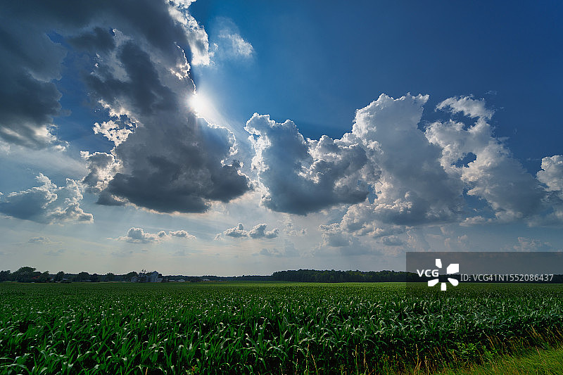 玉米和云朵图片素材