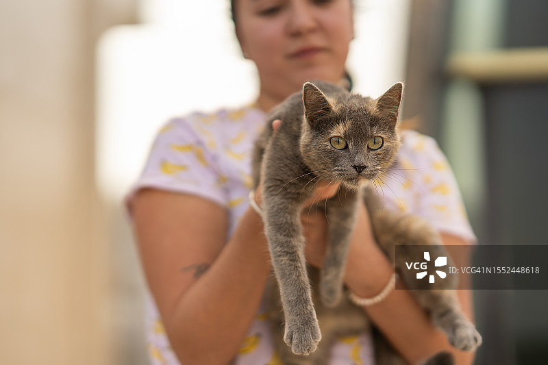 年轻女人抱着玳瑁猫图片素材
