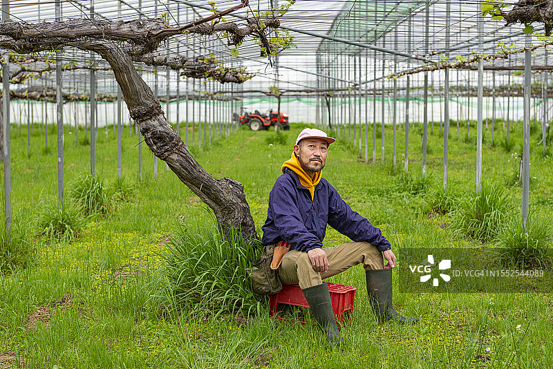 农民在塑料温室中休息图片素材