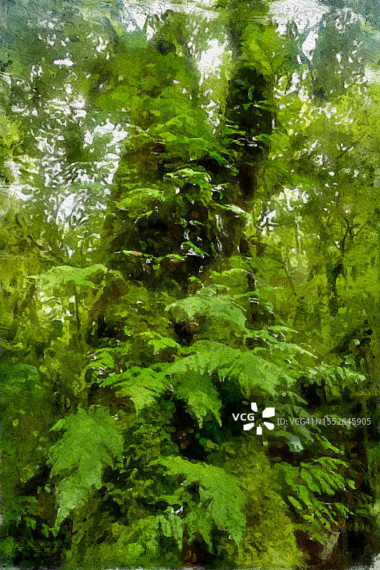 泰国茵他侬山国家公园雨林水彩画图片素材