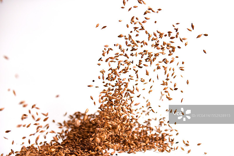 在空中飞舞的大麦茶图片素材