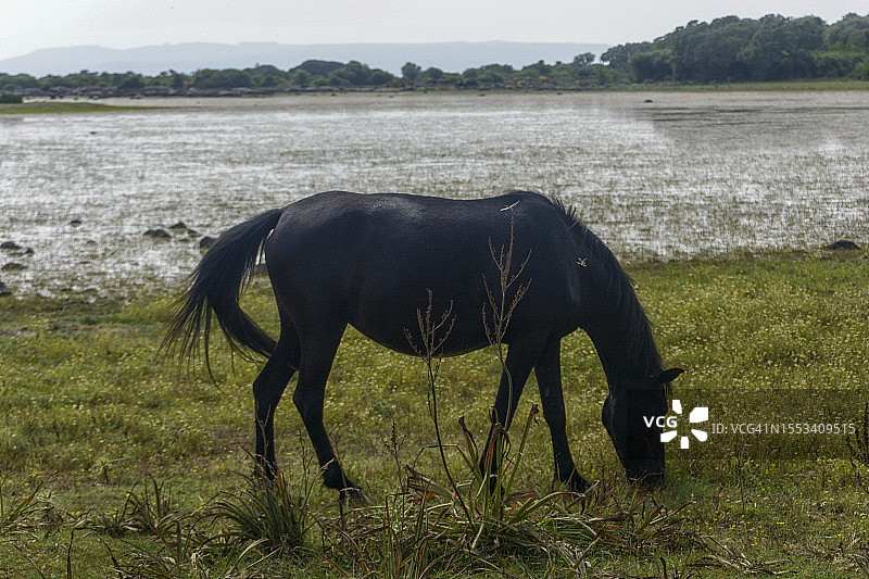 吉阿拉公园图片素材