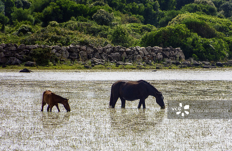吉阿拉公园图片素材