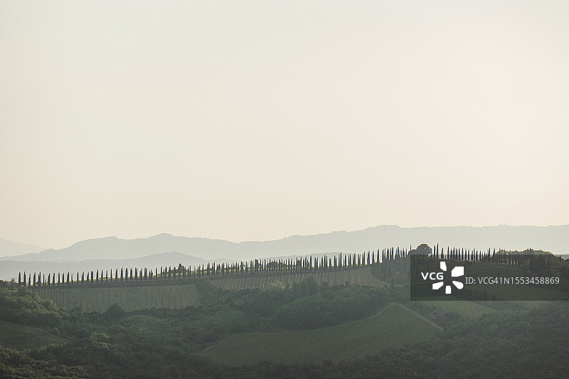 带有柏树的托斯卡纳传统景观图片素材