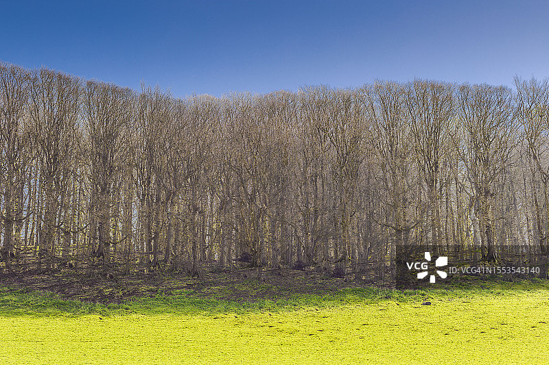 晴空映衬下的田野美景图片素材
