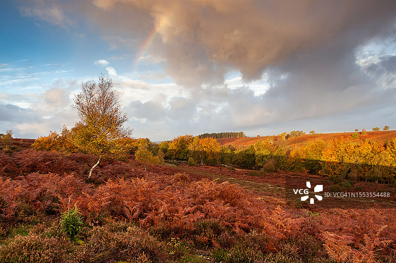 英国林伍德秋季田野风光图片素材