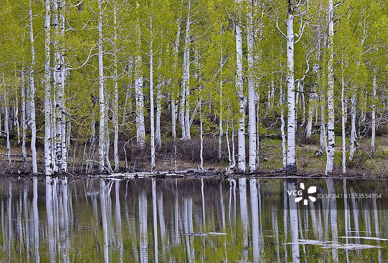 美国犹他州帕克城森林湖泊风光图片素材