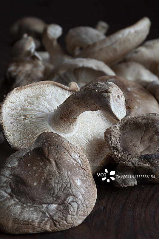 美国路易斯安那州韦克菲尔德餐桌上的蘑菇特写图片素材