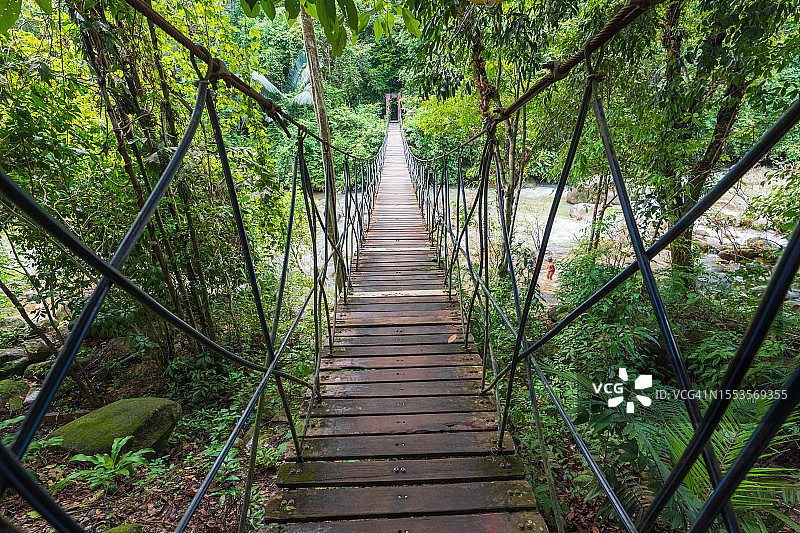空无一人的森林瀑布上的悬索木桥图片素材