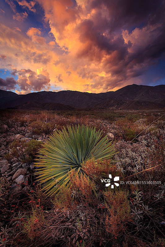 加州库卡蒙加牧场日落时分的土地风光图片素材