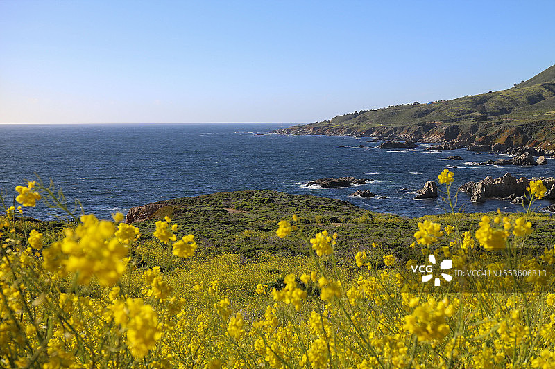 美国加利福尼亚州蒙特雷的晴朗天空下的海景图片素材