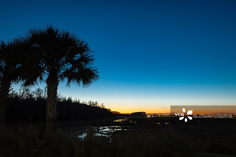 日落时分佛罗里达州奥兰多的棕榈树剪影图片素材