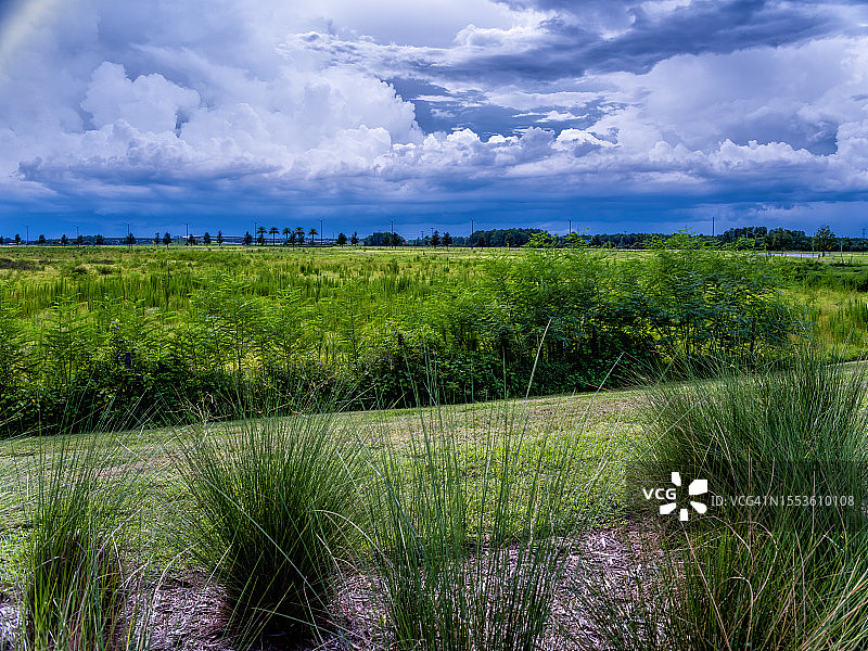 美国佛罗里达州奥兰多田野风光图片素材