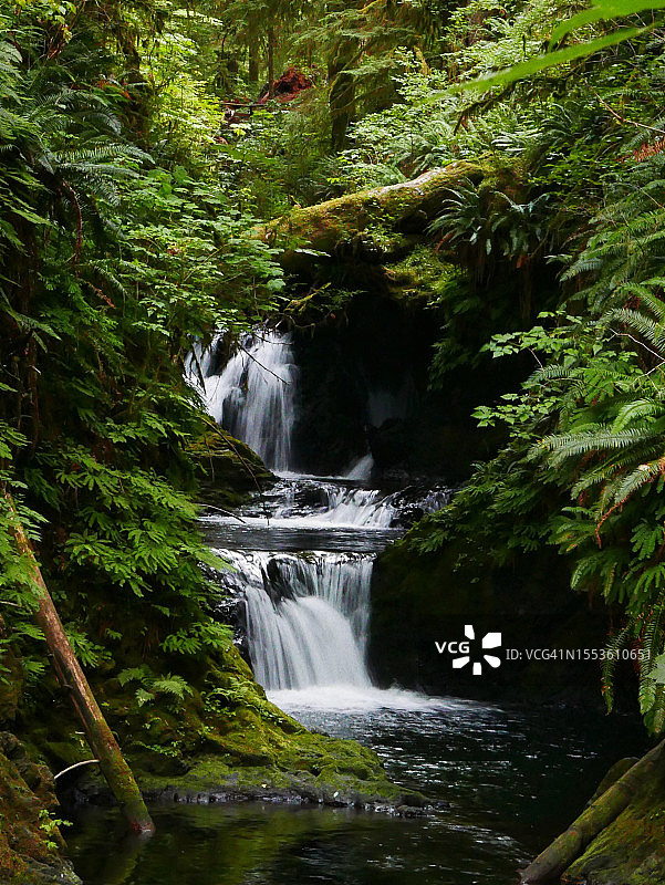 美国华盛顿奎诺尔特湖森林瀑布美景图片素材