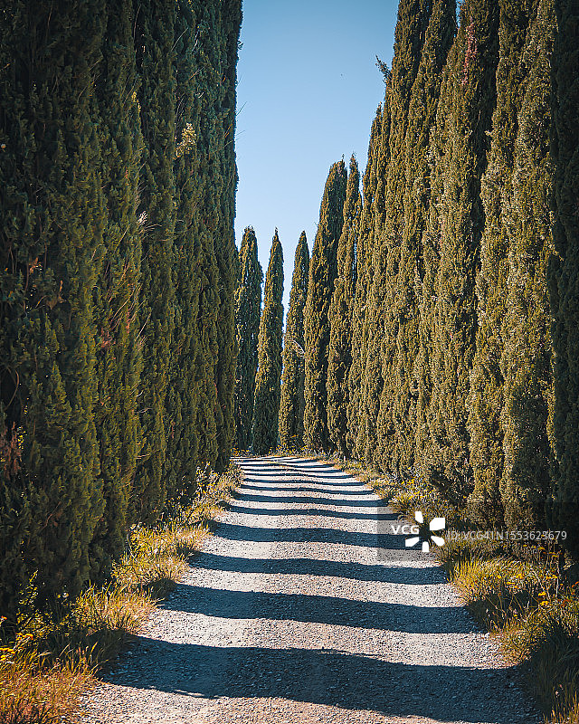 苍穹映衬下，林中空旷的道路图片素材