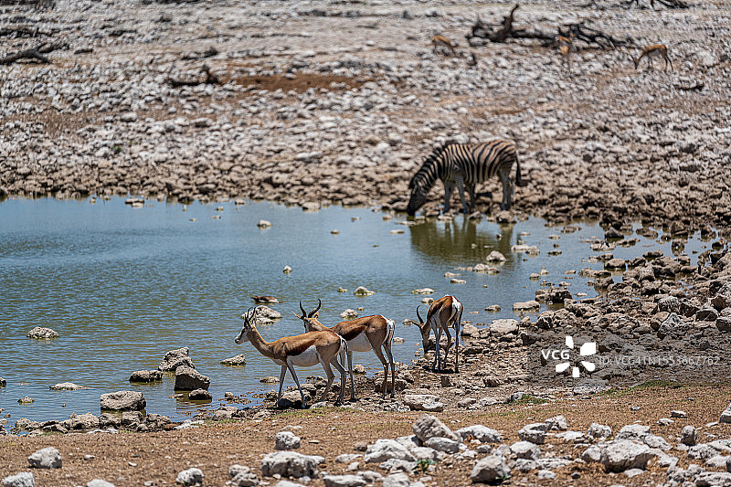 湿地风光图片素材