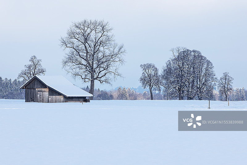 冬季景观中的谷仓图片素材