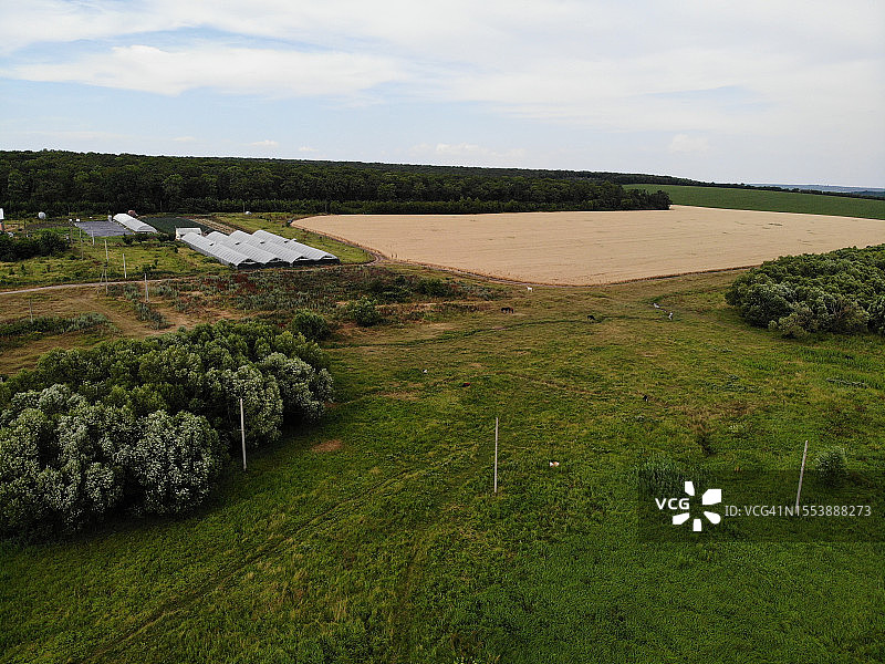 天空衬托下的田野风景图片素材