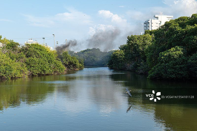 平静的河流穿过哥伦比亚卡塔赫纳的红树林公园，白色建筑物冒出黑烟图片素材