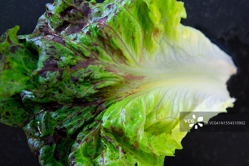 厨房台面上的单片散叶生菜图片素材