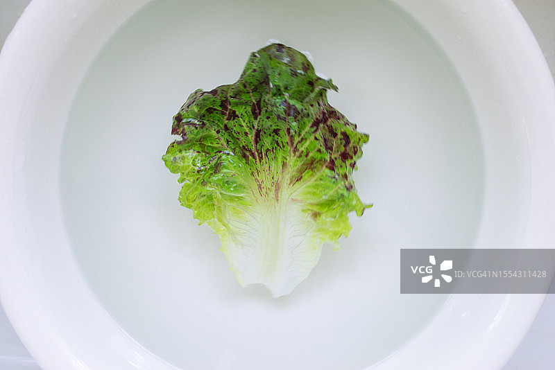 白碗水中带斑点的奶油生菜叶图片素材
