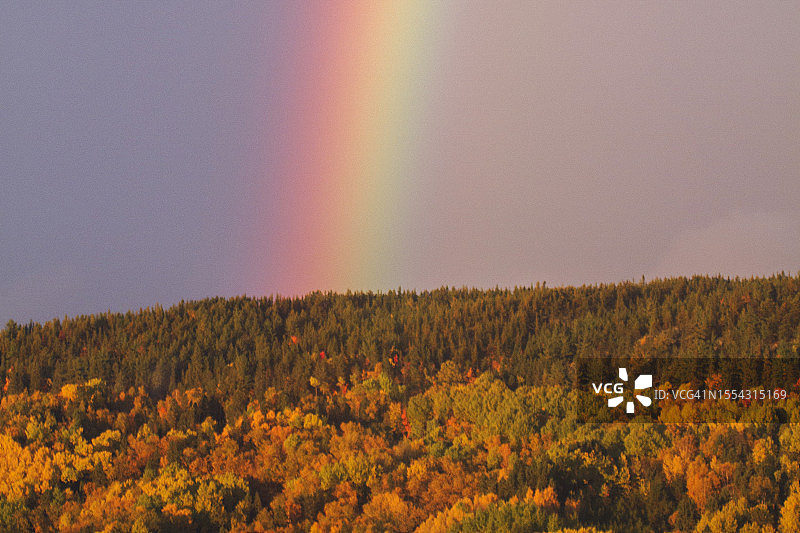 秋色树木与彩虹图片素材