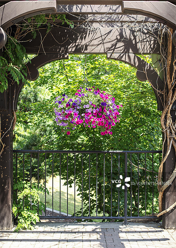 木制花园拱门下的绚丽夏季花卉图片素材