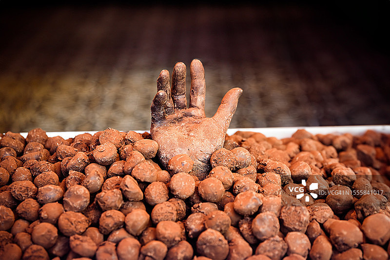 手工制作巧克力和松露特写图片素材