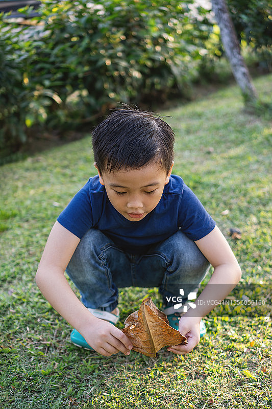男孩蹲在草地上，拿着一片干树叶图片素材