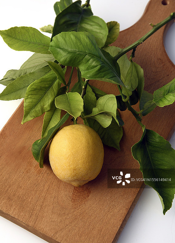 柠檬与叶子图片素材