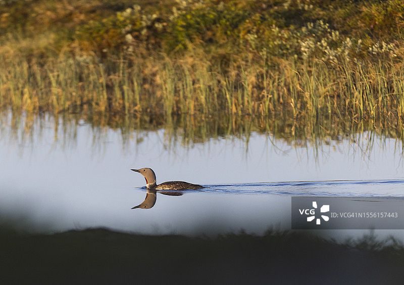 匆忙中图片素材