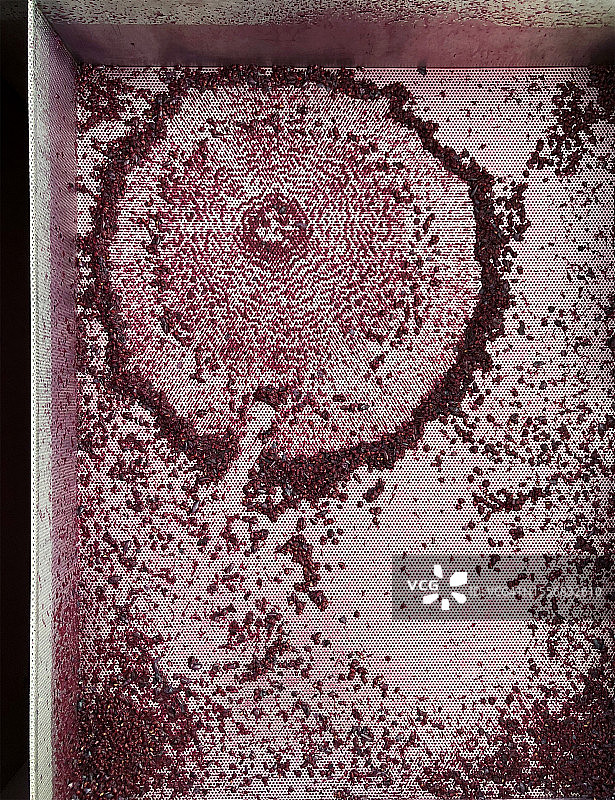 南瓜图案纳帕图片素材