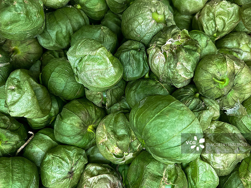 新鲜墨西哥小番茄背景图片素材