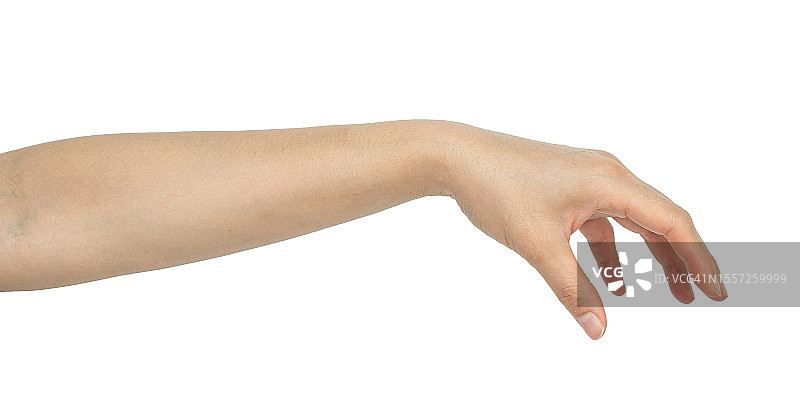 女士手部给予姿势，白色背景图片素材