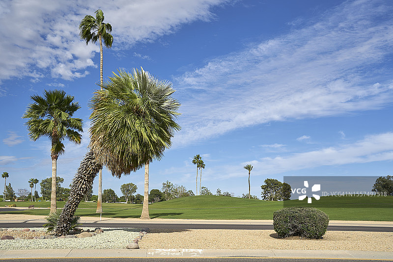 太阳城：亚利桑那州马里科帕县退休小镇图片素材