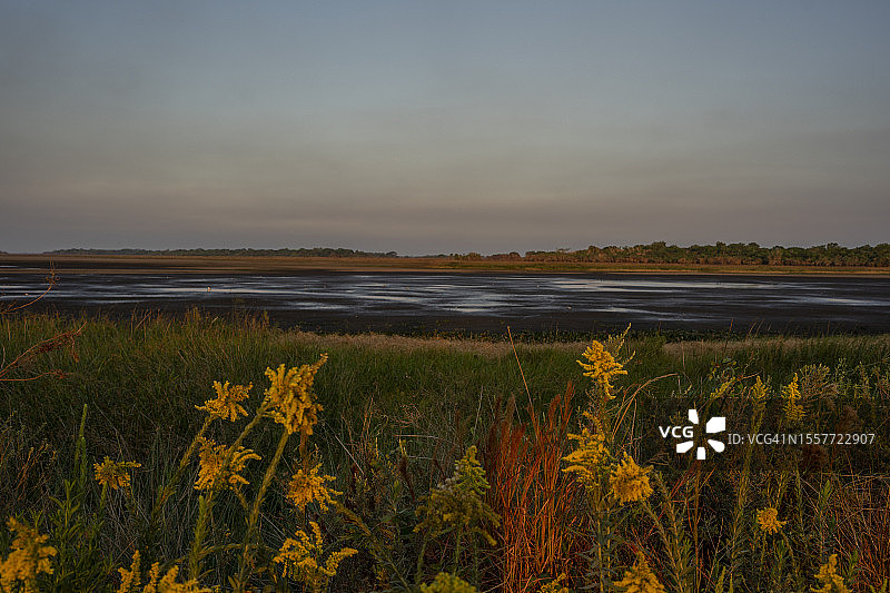 野火过后的干涸泻湖图片素材