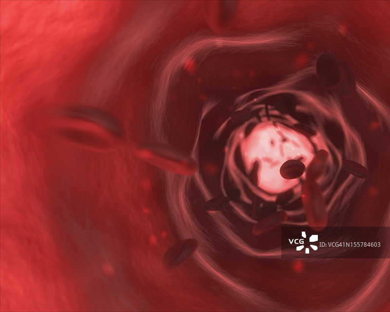 充满血液的静脉内部图片素材