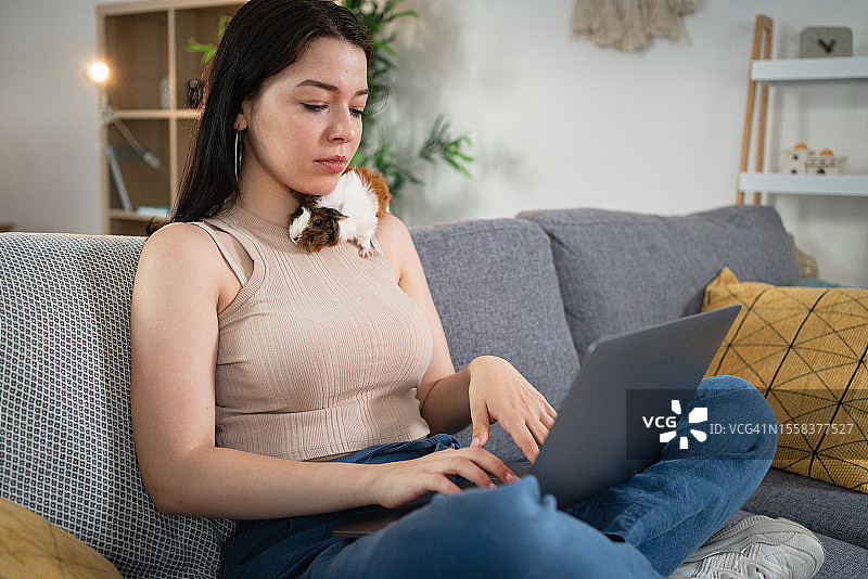 女人使用笔记本电脑工作，宠物豚鼠坐在她的肩膀上图片素材