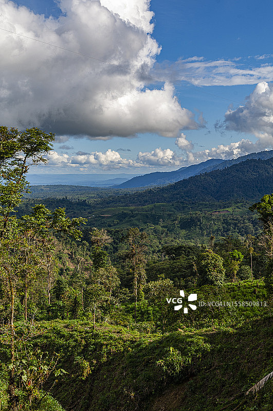 厄瓜多尔亚马逊雨林景观图片素材