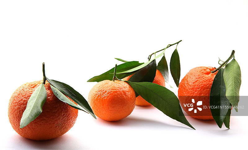 白色背景上的橘子图片素材