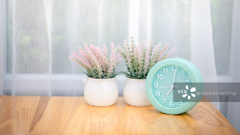 家里桌上的盆栽特写图片素材